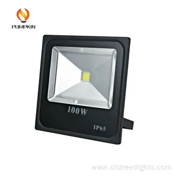 Quality Assurance IC Driver 100W LED Flood Light